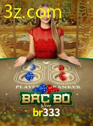 BR333.COM