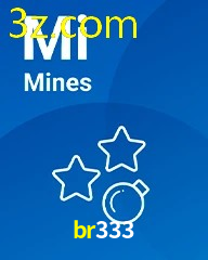 BR333.COM
