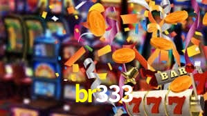 Premium Interface br333