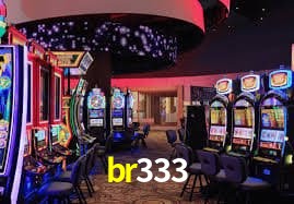 br333
