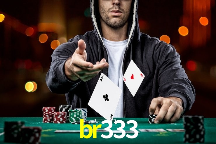 br333 App Interface
